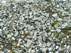 P1081611