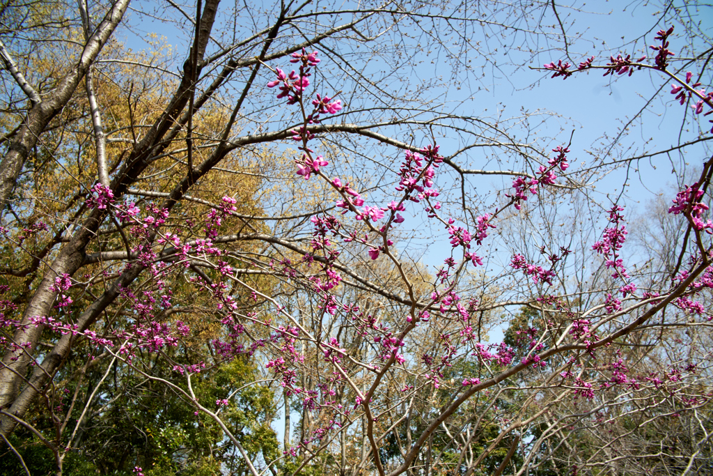 DSC00406_1