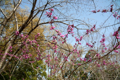 DSC00406_1