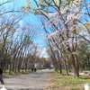 P1078242