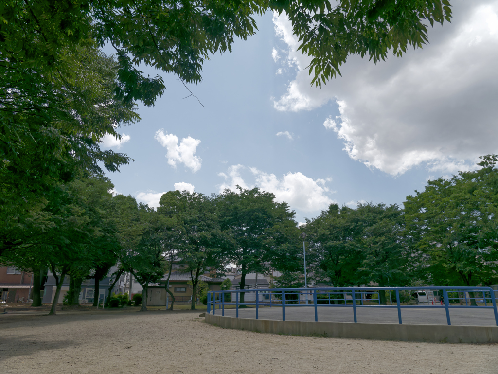 _1010087_DxO