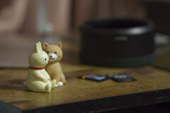 _DSC0141_DxO