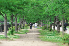 DSC01277