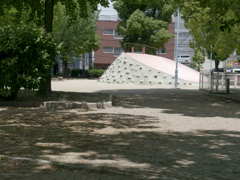 _1010079_DxO