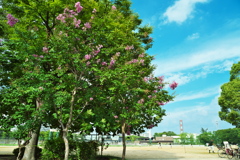 DSC01822