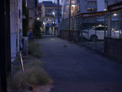 警戒された(;'∀')