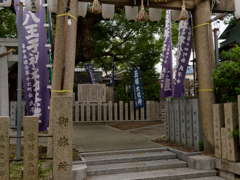F5.6 F値と画質チェック