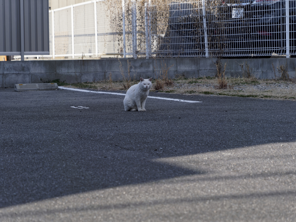 _1080889_DxO
