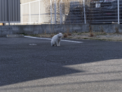 _1080889_DxO
