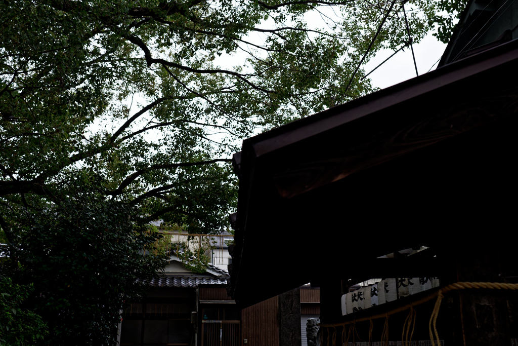 DSC01413_DxO