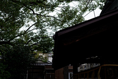 DSC01413_DxO