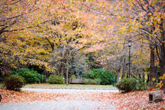 DSC04391