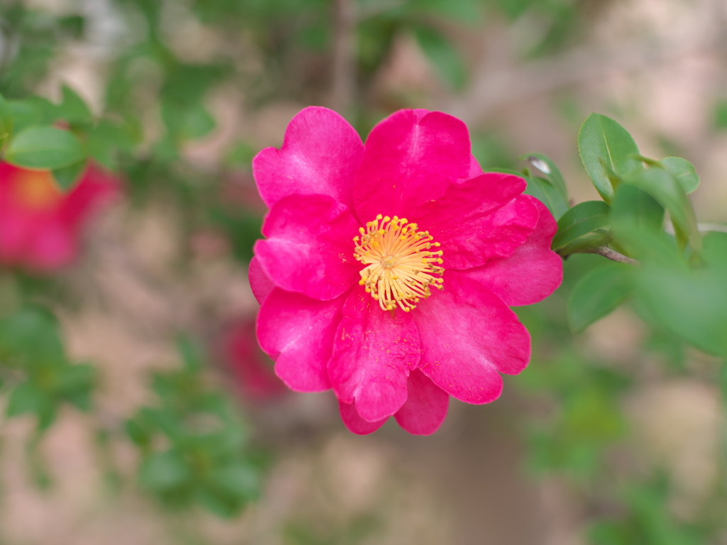 P1051581