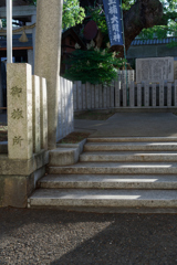 晴れやかな午後
