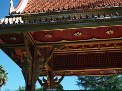 P1094259