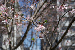 DSC01711_DxO