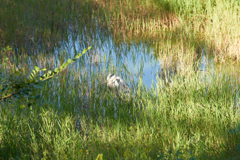 DSC03349b