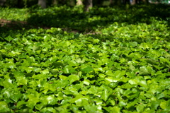 DSC00893