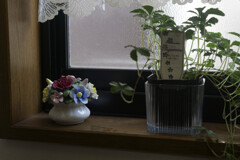 _DSC0066_DxO