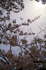 A7C08882