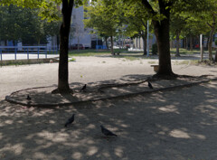 _1069227_DxO
