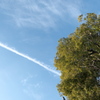 P1010328