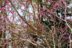 DSC00421