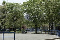 _1010504_DxO
