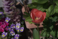 A7C01717