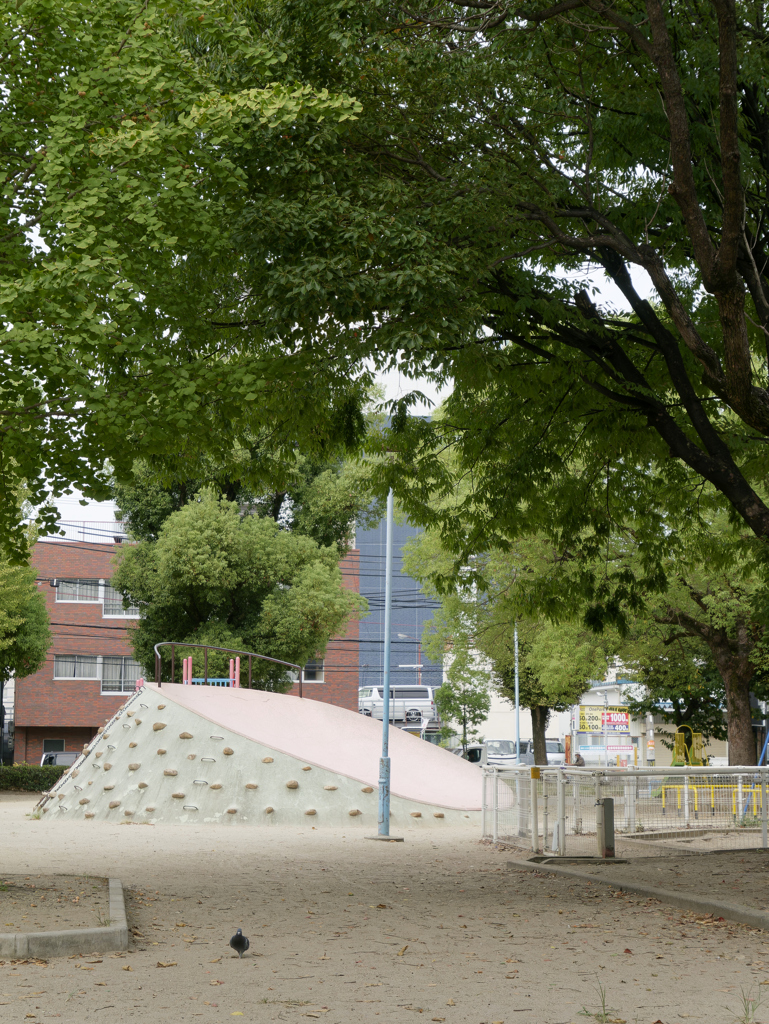 _1010656_DxO