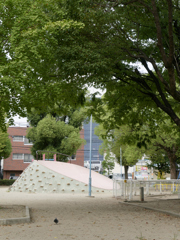 _1010656_DxO