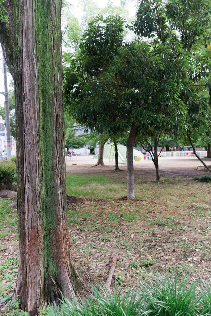 DSC09414_DxO
