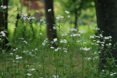 P1056132