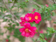 P1051739