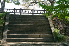 DSC03941
