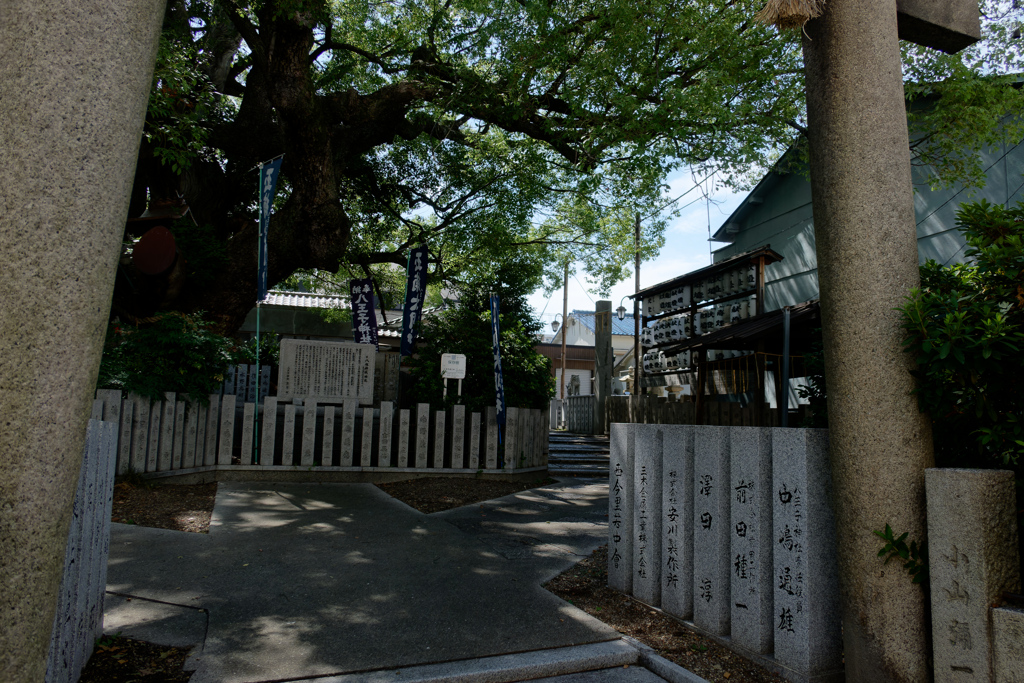 優しい影のある空間