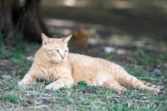 DSC00872