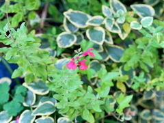 P1080972