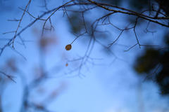 A7C08778 1