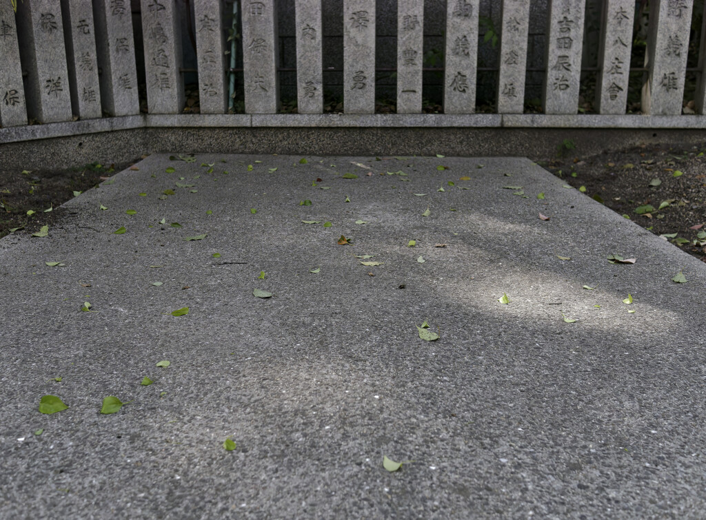 _1040861_DxO