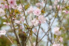 7R308967_DxO