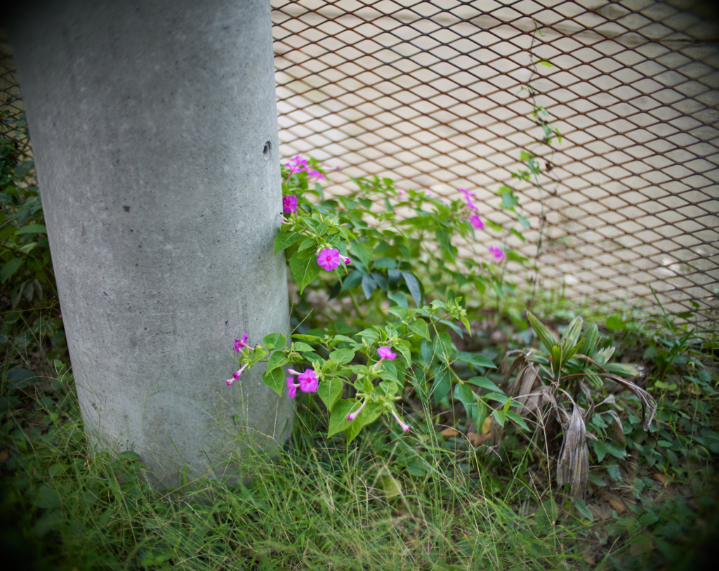 DSC02405
