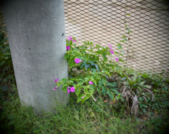 DSC02405