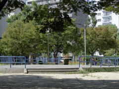 _1070033_DxO