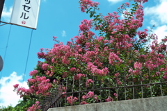 DSC01877