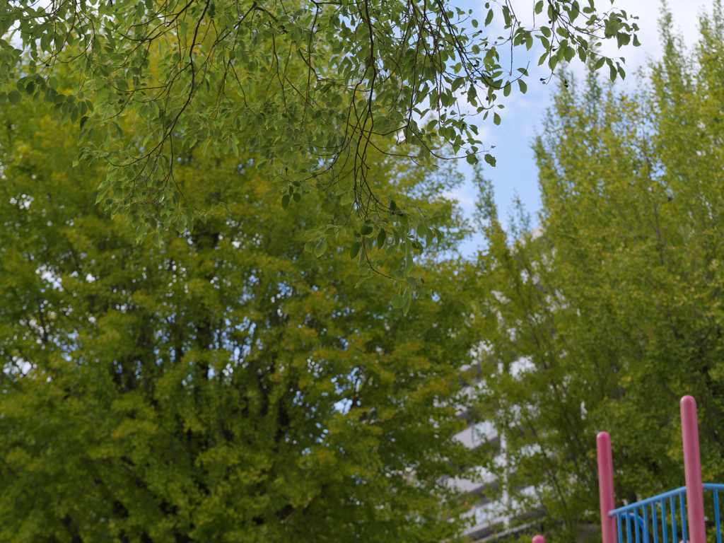 公園