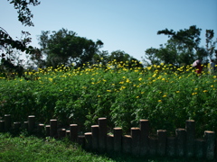 P1093683