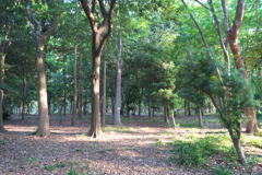 DSC01011