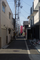 猛暑の季節になりました