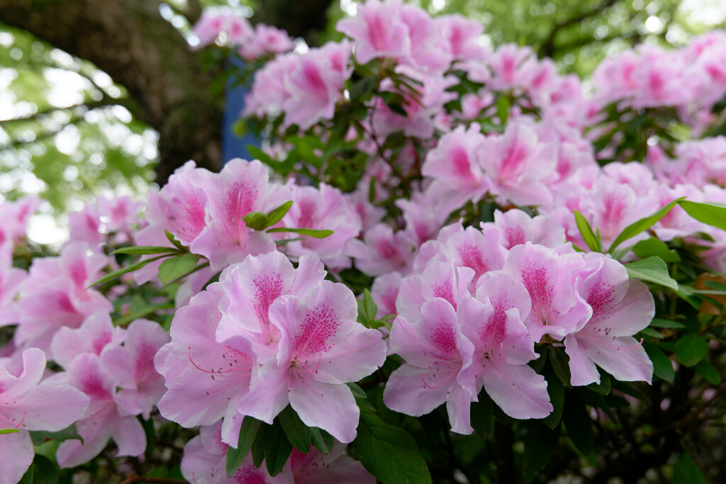 P1011002_DxO